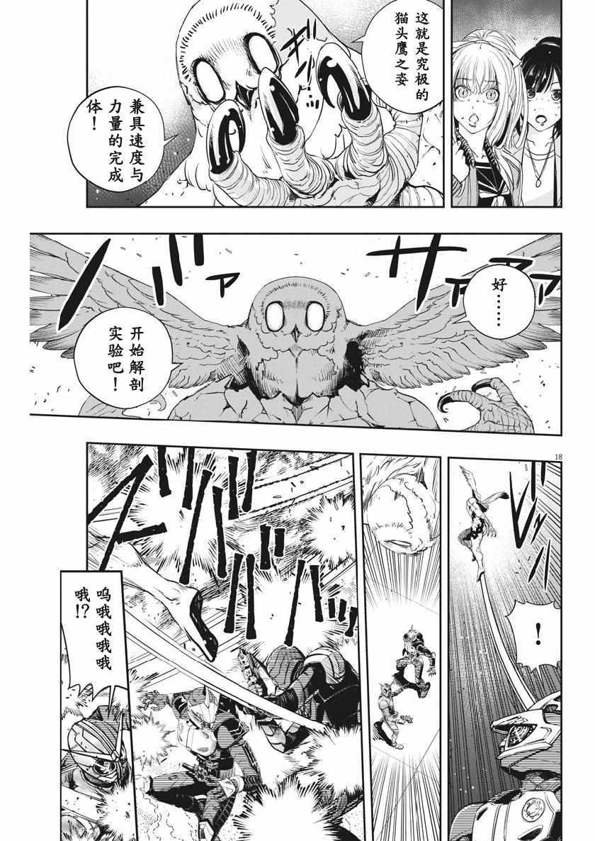 第17页