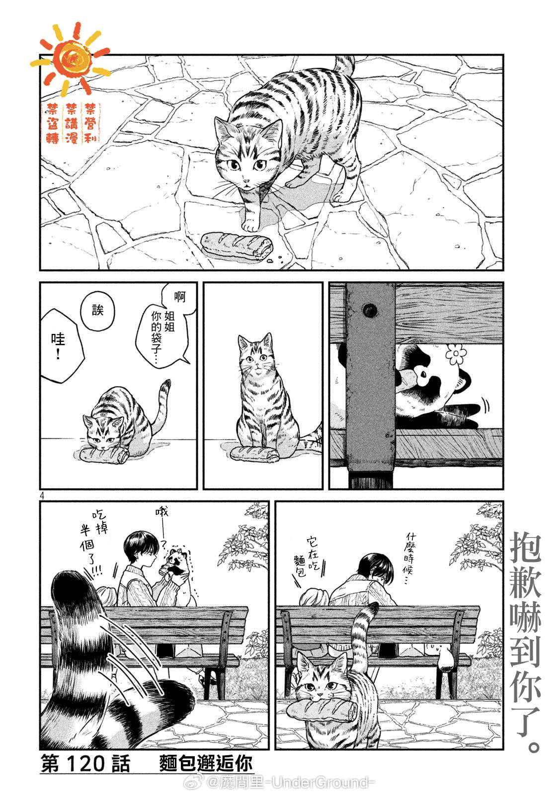 第4页