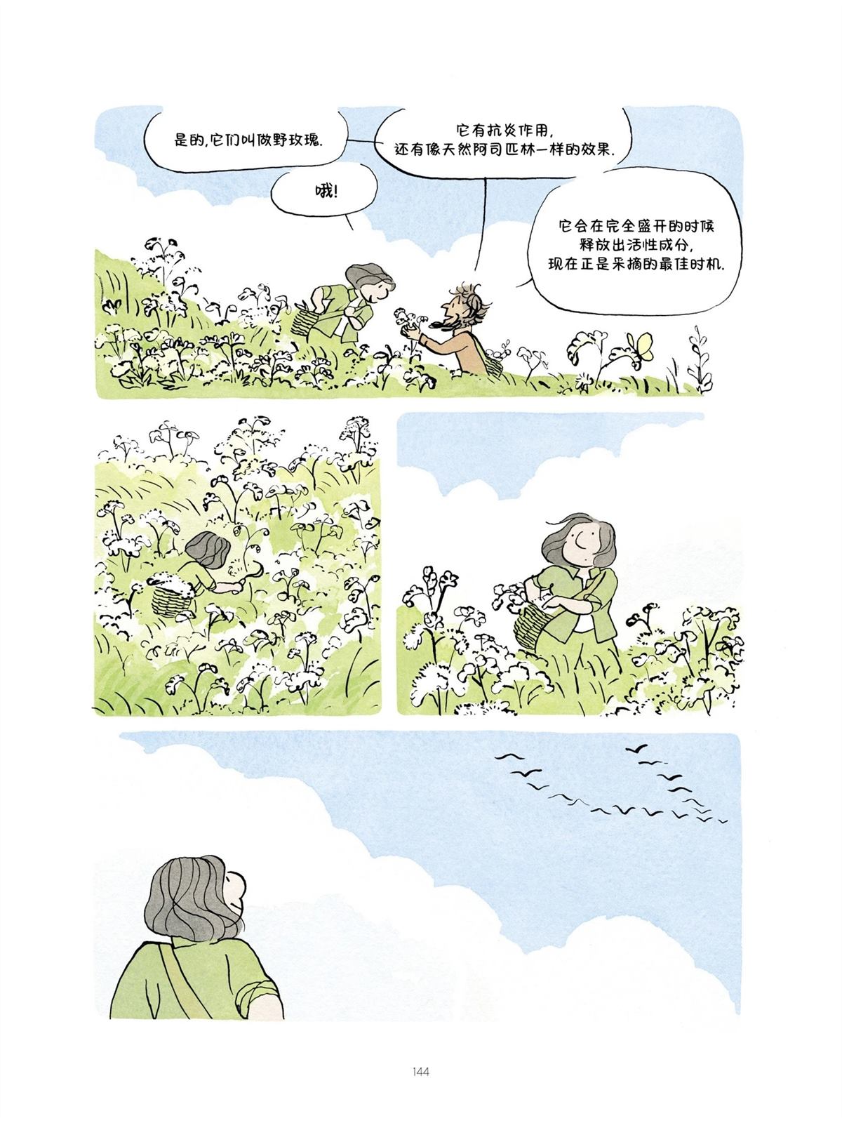 第144页