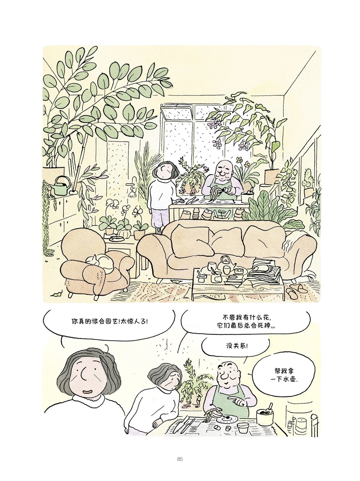 第85页