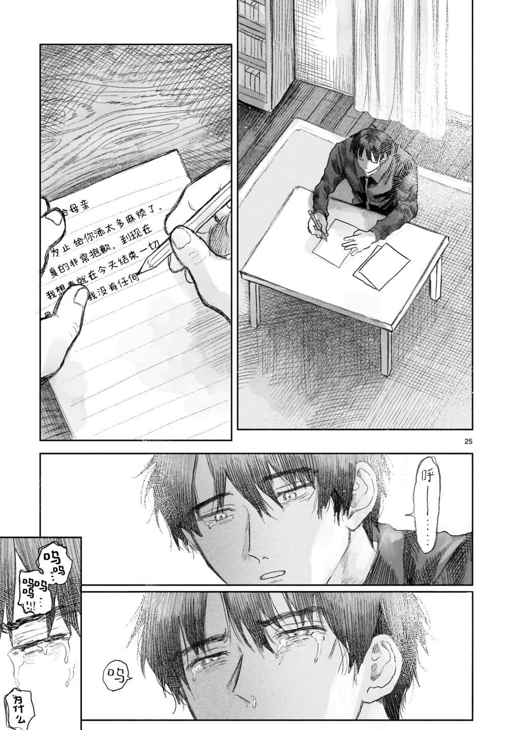 第25页