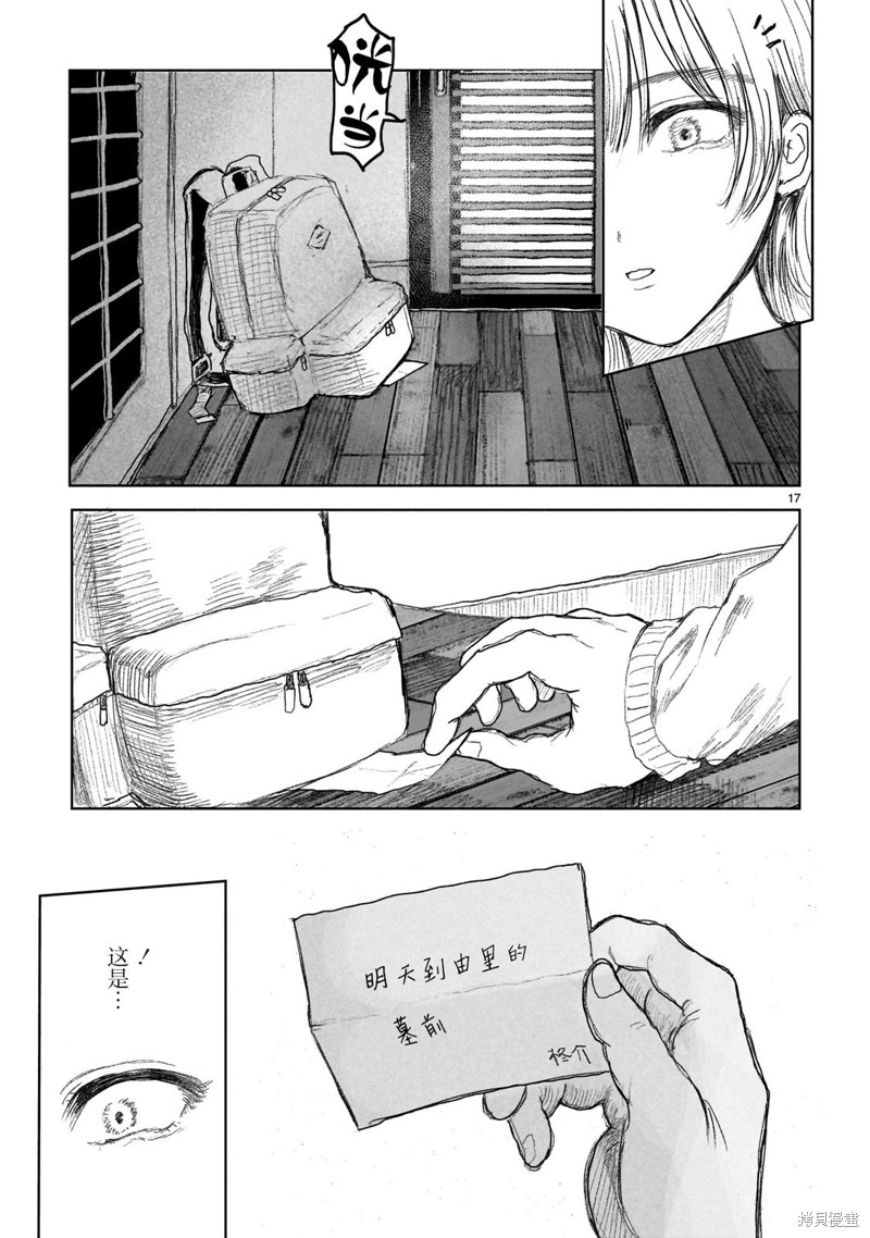 第17页