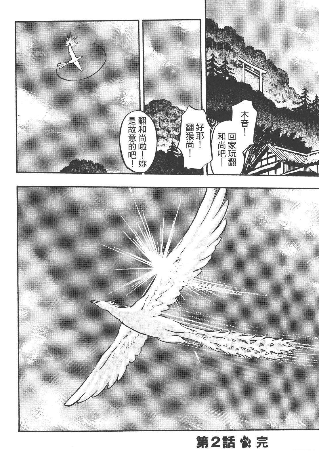 第64页