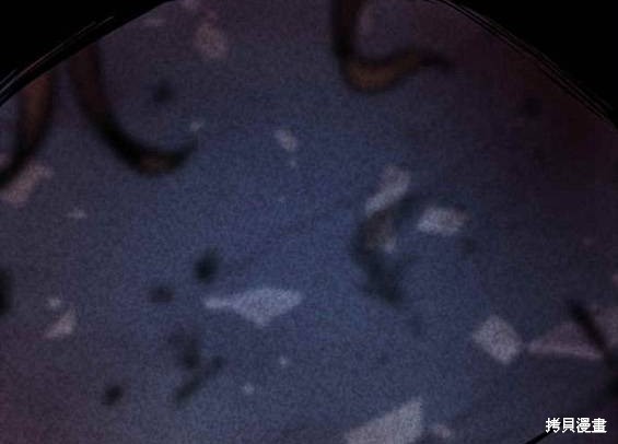 第281页
