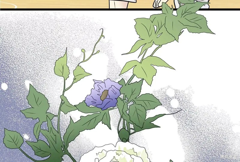 第221页