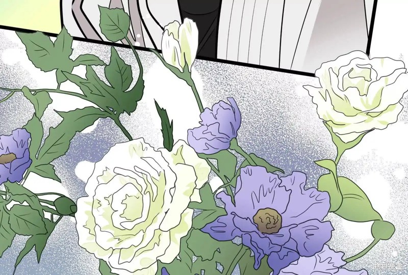 第225页