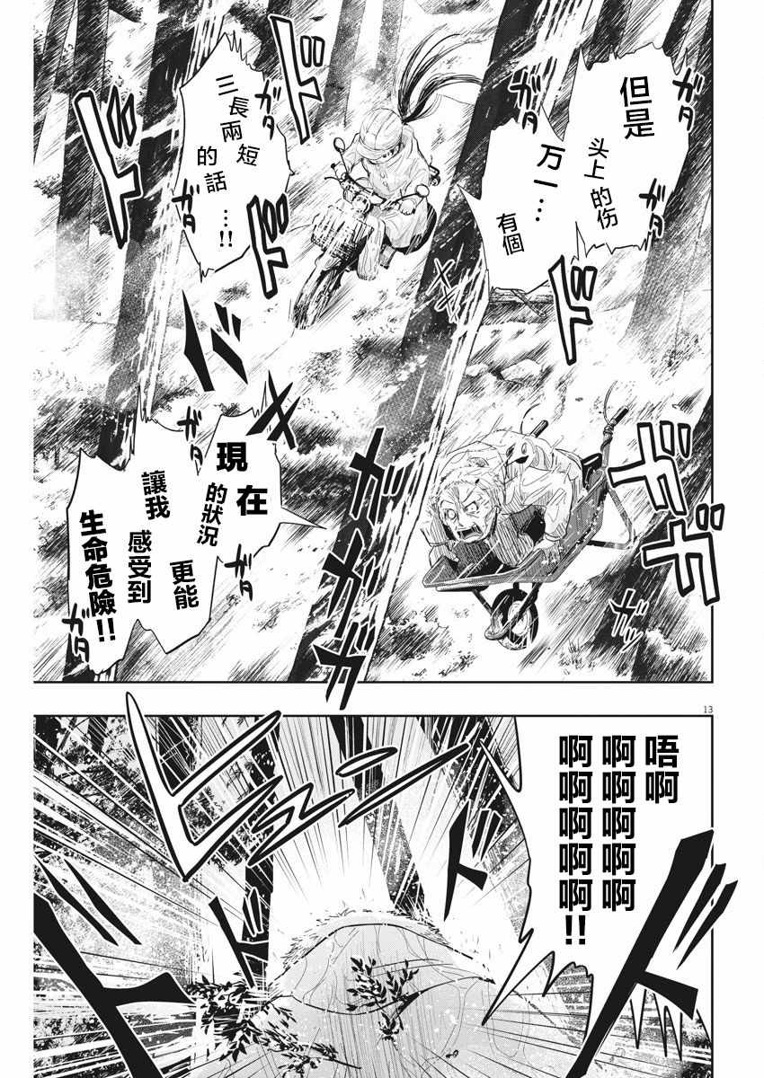第13页