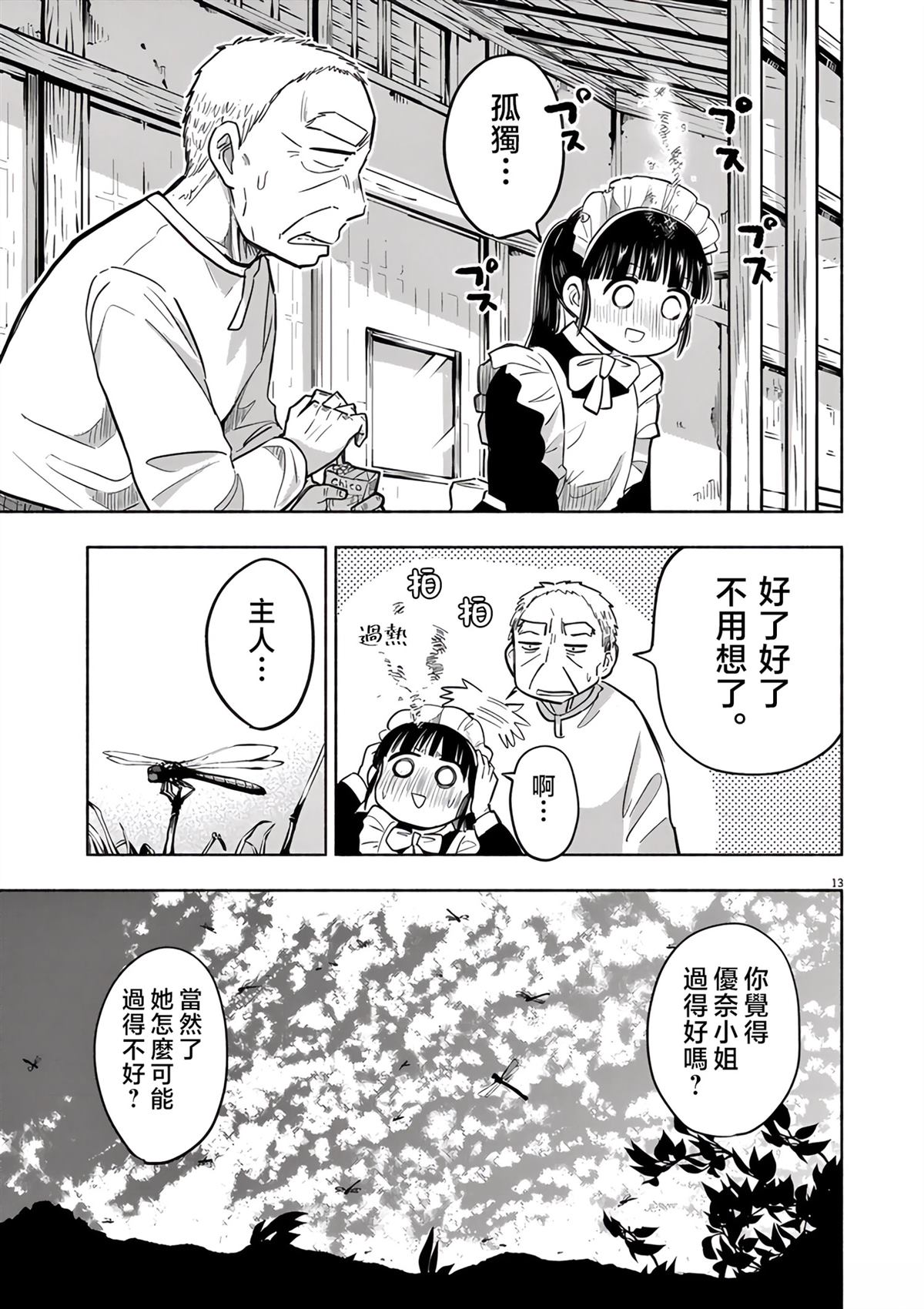 第13页