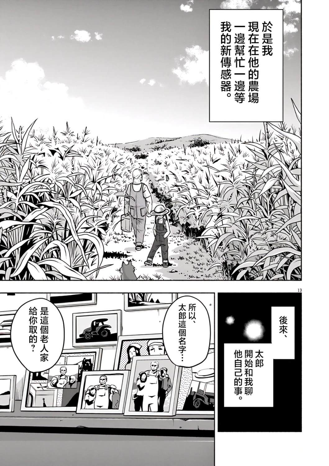 第13页