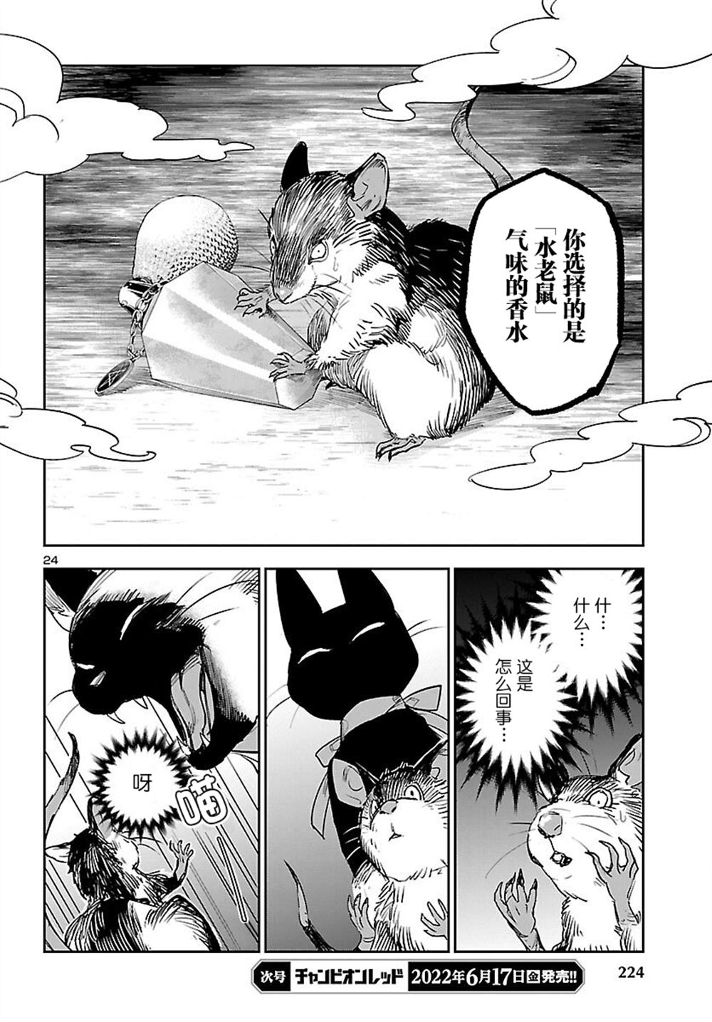 第24页
